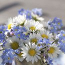 웨딩프로포즈 이미지