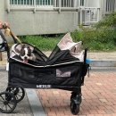 포켓불독 | 멀리 강아지 유모차 MW6 / 다견용 저상형 웨건 내돈내산 구매후기 : 보스턴테리어, 프렌치불독 개모차 추천