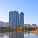 철새탐방ㅡ철새들의 겨울나기 - by 모모수계 이미지