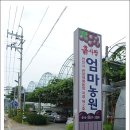엄마사랑농원 이미지