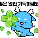 모던복싱 이미지