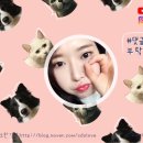 이미나어학원 | 신촌영어회화학원으로 랩스 신촌점 다녀와떠요!