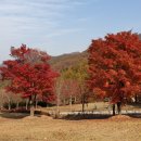 임도 입구(오지재고개 정상) 이미지