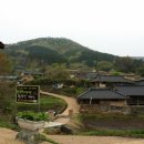 나무숲소 이미지