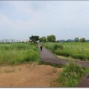 배곧한울공원 이미지