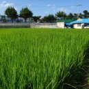 울진공인행정사 이미지