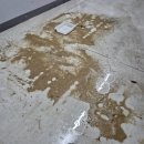 군포시 당동 상가 오피스텔 하수구 고압세척 후기