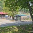 윗대이리 이미지