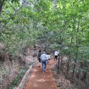 삼육두유포항대리점 | 포항 스페이스워크