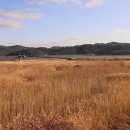 금강갈비 이미지