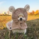 모이