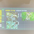 표선면사무소 티스토리