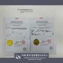 비채 번역일반행정사사무소 이미지