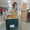 금산인삼 이미지