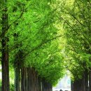 오일베스트 이미지