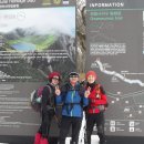 제주의 추억 이미지