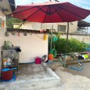 남호민박 이미지