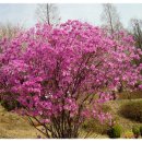 워터큐코리아 이미지