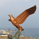 초정다실 동행미디어 시대