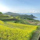 시마레스토랑 이미지