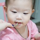 꽃게들의 전쟁 이미지