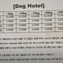 포우 파라다이스 이미지