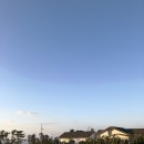 아날로그감귤밭