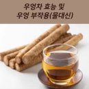 우엉의 효능 우엉차 만드는 법 이미지