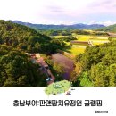 충남 부여 글램핑 아이와 가볼만한곳 판앤팜치유정원