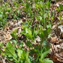 효경농장 이미지