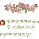 시카고댁 이미지