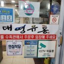 주문진항입구 교차로 이미지