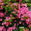 믿음 - 세종특별자치시 보통1길 124 | 믿음