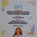 충무공동26 이미지