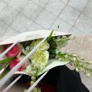 르네프