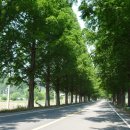 강천산 길 이미지