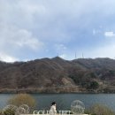 [가평여행] 가평 북한강 뷰 대형카페/아이와 함께 다녀온 “골든트리” 카페 후기