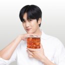 건강애찬 | 셰프애찬 국내산 알배기겉절이 후기와 경험으로 건강한 맛 추천