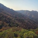 뒷산 단풍^^ 이미지