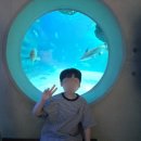 30 | 사천 아라마루 아쿠아리움 통합권 이용 후기