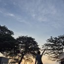 호텔 섬(SD개발) | [코사무이 여행] 낭유안 섬 스노쿨링 명당 투어 &amp; 더 라이브러리 스테이크 석식 후기