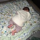 도래울아이랑소아청소년과의원 | [다마고치] 쩝,,,과속성장중인 아가야