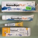 다보동물약국 | 베트남에서 살아가기, 하노이 한밤중에 찾아 온 불청객 <화상벌레 Fire bug>라 불리는 ‘청딱지개미...