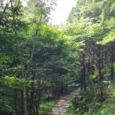 치유의 숲 주차장 화장실 이미지