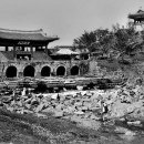 수원-1907 이미지