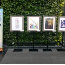 서울특별시남부노인보호전문기관 이미지