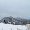 오리들1길 이미지