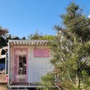 댕댕그라운드 이미지