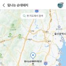 태우돼지국밥