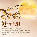 이안안경 네이버블로그